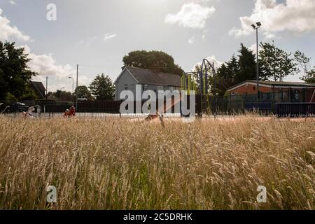 Überwucherter Rasen auf einem Kinderspielplatz in Cardiff, wo öffentliche Spielbereiche seit Monaten geschlossen sind, Juni 2020. Stockfoto