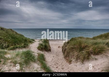 Dünen an der Nordseeküste in Jammerbugt, Dänemark Stockfoto