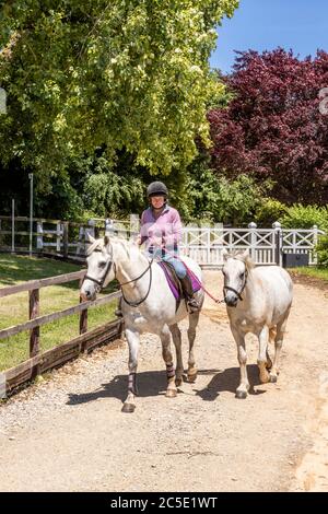 Eine Dame, die auf einem Pferd reitet und ein anderes auf der Campden Lane auf der Lynes Barn Farm in den Cotswold Hills in der Nähe des Dorfes Farmcote, Gloucestershire, Großbritannien, führt. Stockfoto