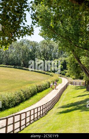 Eine Dame, die auf einem Pferd reitet und ein anderes auf der Campden Lane auf der Lynes Barn Farm in den Cotswold Hills in der Nähe des Dorfes Farmcote, Gloucestershire, Großbritannien, führt. Stockfoto