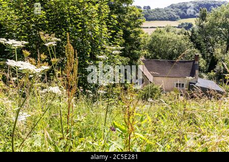 'Rosebank' (mit einer modernen Erweiterung) im Cotswold-Dorf Slad, Gloucestershire, Großbritannien - das Elternhaus von Laurie Lee, Autor von 'Cider with Ros Stockfoto