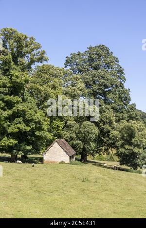 Ein alter Steinschafstall oder Schafstall im Cotswold-Dorf Temple Guiting, Gloucestershire, Großbritannien Stockfoto