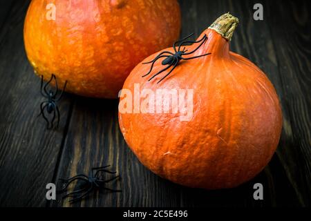 Halloween Feiertagshintergrund mit Kürbissen und schwarzen Spinnen auf einem dunklen Holztisch. Nahaufnahme natürliche rötliche Kürbisse auf Vintage Boards für Halloween Stockfoto