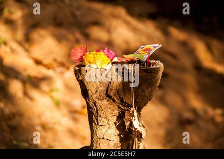 Canang Sari, farbenfrohe traditionelle hinduistische Opfergaben auf einem Stück Holz Stockfoto