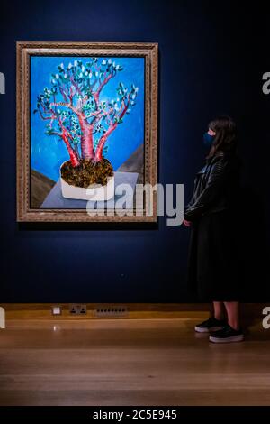 London, Großbritannien. Juli 2020. David Hockney, Jade Plant, Schätzung GBP 1,500,000 - GBP 2,500,000 - Christie's hat jetzt nach Vereinbarung nur in London eröffnet und diese Woche eine Ausstellung von ONE: A Global Sale of the 20th Century enthüllt. Kredit: Guy Bell/Alamy Live Nachrichten Stockfoto