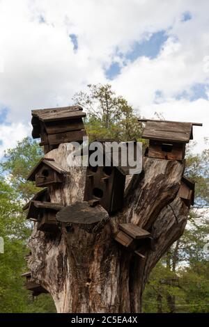 Mehrere Menschen machten Vogelhäuser auf einem toten Baum. Hilfe Vogelpopulationen in den Städten. Wolkiger Tag, vertikale Aufnahme Stockfoto