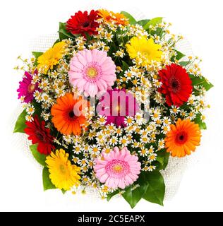 Bouquet von bunten Gerberas und Gänseblümchen isoliert auf weißem Hintergrund Stockfoto