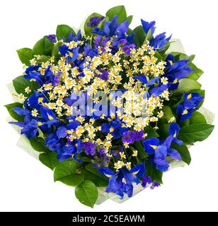 Bouquet von Iris und Gänseblümchen isoliert auf weißem Hintergrund Stockfoto