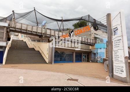 Lebende Küsten in Torquay, Devon, Heimat von Vögeln, Pinguinen und Fischen, die leider aufgrund des wirtschaftlichen Drucks teilweise aufgrund von Covid 19 geschlossen werden mussten. Stockfoto