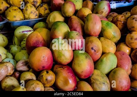 Stapel von reifen Mangos auf dem Gemüsemarkt. Stockfoto