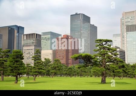 Skyline von Tokio vom Imperial Palace Gardens, Marunouchi Viertel. Stockfoto