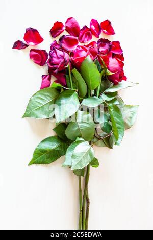 Bouquet von verwelkten roten Rosenblüten und gefallenen Blütenblättern auf hellbraunem Tisch Stockfoto