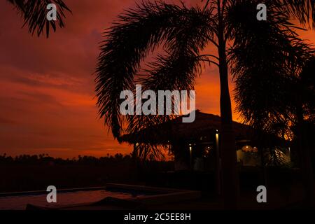 Schöner orange feuriger Sonnenuntergang in den Tropen. Straßendach von Heu, neben dem Pool und mit Blick auf das Reisfeld Stockfoto