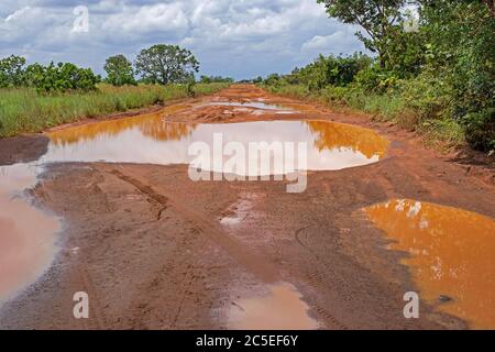Große Regenpfützen im roten Schlamm der Linden-Lethem Feldstraße verbindet Lethem und Georgetown in der Regenzeit, Guyana, Südamerika Stockfoto