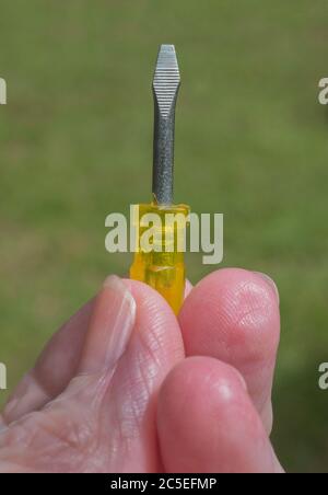 Kleiner Schraubendreher bereit für Action... Stockfoto