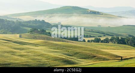 Rollfelder in der Toskana, Italien Stockfoto
