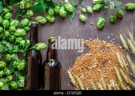 Zwei Flaschen Bier mit Weizen und Hopfen als Brauzutaten in Draufsicht und Kopierbereich Stockfoto