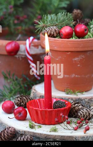 weihnachtsdekoration mit roter Kerze und Krabbenäpfeln in Terrakotta-Töpfen Stockfoto