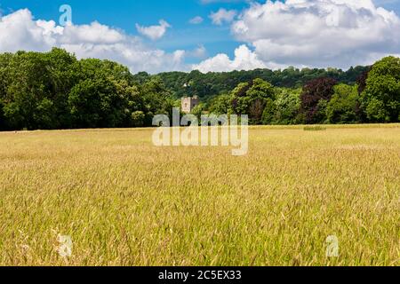 St Mary's & All Saints Church in Boxley, in der Nähe von Maidstone in Kent, England Stockfoto