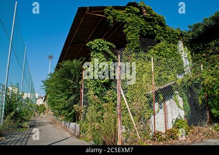 Die Natur wird über die Haupttribüne des abgerissenen Stade de la Palla Fußballstadions in Valence, Frankreich, übernommen. Stockfoto