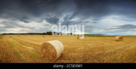 Panorama von Strohballen auf einem Feld unter einem dramatischen, stürmischen Himmel. Ländliches Schottland zwischen Elgin und Lossiemouth. Stockfoto