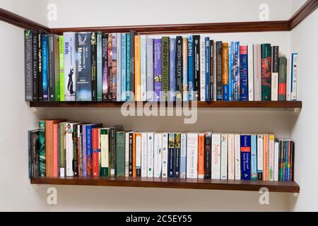 Bücherregale Stockfoto