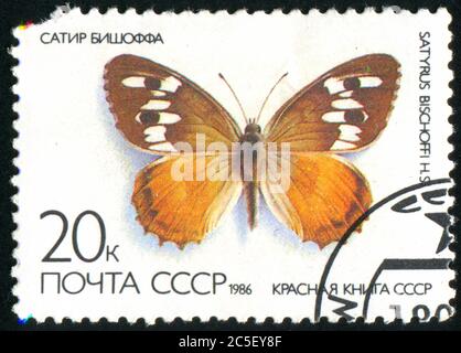 RUSSLAND - UM 1986: Briefmarke gedruckt von Russland, zeigt Schmetterling, um 1986. Stockfoto