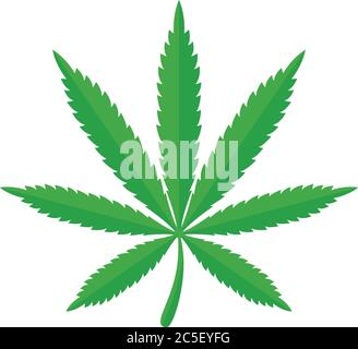 Marihuana Green Leaf Pflanze Cannabis Weed Drug Illustration Vektor Stock Vektor