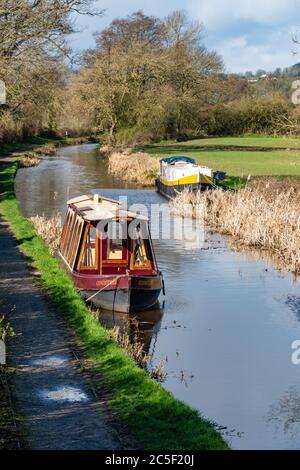 Das Countress-Ausflugsboot liegt auf dem Montgomery Canal in Shropshire UK Stockfoto