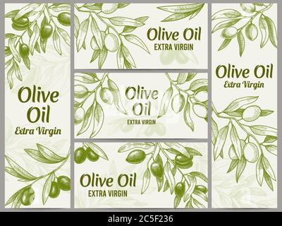 Banner für Olivenöl. Bio-Öle Etiketten, grüne Olivenzweige und extra Virgin Vektor-Etikett Vektor-Illustration Set Stock Vektor