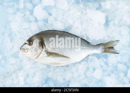 Dorada Fisch liegt auf Eis Stockfoto