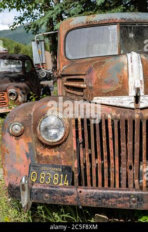 Oldtimer-Trucks im Chena Hot Springs Resort in Fairbanks, Alaska Stockfoto