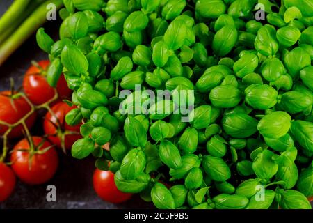 Bio-Basilikum und Tomaten auf dunklem Hintergrund. Draufsicht, Nahaufnahme. Stockfoto
