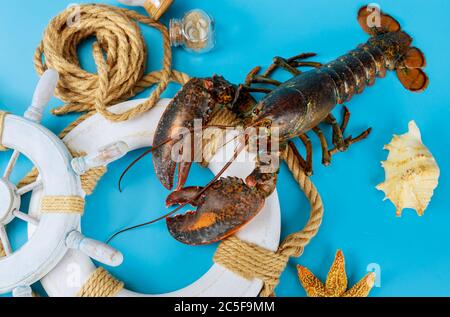 Lebender Hummer auf Rettungsring mit Schale auf blauem Hintergrund. Stockfoto