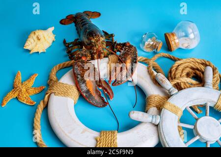 Roher lebender Hummer auf Rettungsring mit Seesternen auf blauem Hintergrund. Stockfoto