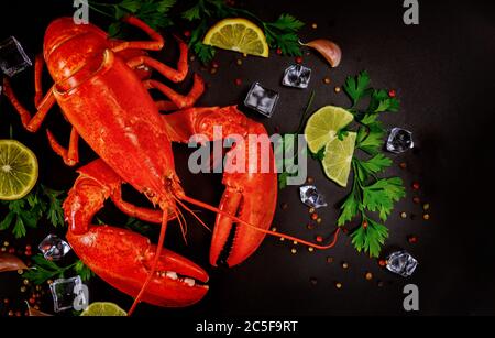 Gekochter roter Hummer mit Zitrone, Petersilie und Eiswürfel auf schwarzem Hintergrund. Stockfoto