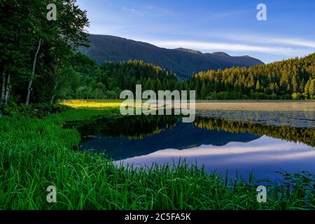 Lower Marsh, Minnekhada Regional Park, Coquitlam, British Columbia, Kanada Stockfoto