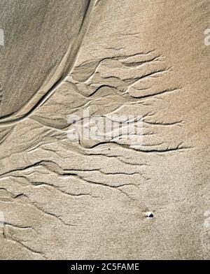 Schlängelnde Muster von Abwassern im Sand, Strand, Porpoise Bay, Catlins, Southland, South Island, Neuseeland Stockfoto