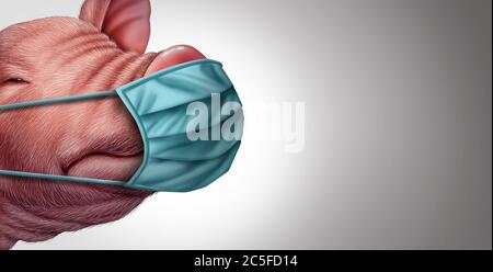Schweinekrankheit und Schweinevirus oder G4-Grippe von infizierten Tieren als Schweine und Schweine als Gesundheitsrisiko für das globale Infektionsausbruchskonzept. Stockfoto