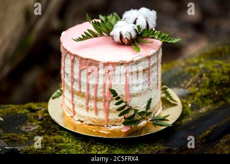 Hochzeitstorte auf zwei Etagen und leichte Creme mit frischem Obst und dekoriert vor der Zeremonie in der Mitte des Waldes auf dem Stamm eines Baumes gelegt Stockfoto