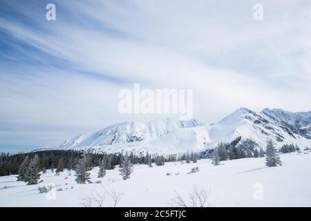 Blick auf die Berge in der Zakopane-Region in Polen bedeckt mit Neuschnee am Tag mit blauem Himmel Stockfoto