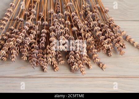 Alte getrocknete Lavendelblüten auf grau getöntem Holztisch. Nahaufnahme. Draufsicht Stockfoto