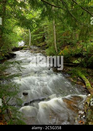 Pictured Rocks National Lakeshore; MI / OCT EINE Reihe von Kaskaden in einem Tunnel von Grün bei Mosquito Falls. Stockfoto