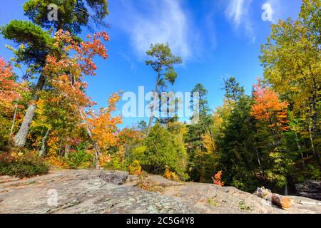 Herbstwaldlandschaft im Porcupine Mountains Wilderness State Park auf der Upper Peninsula of Michigan während der Herbstfärbung. Stockfoto