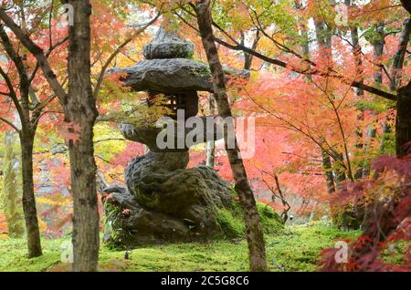 Portrait einer typischen japanischen Steinlaterne am Eikando Tempel in Kyoto, mit roten und gelben Ahornblättern Stockfoto