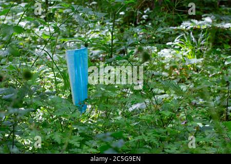 Schmutzige gebrauchte medizinische Maske im Wald weggeworfen, Umweltverschmutzung während einer Pandemie. Stockfoto