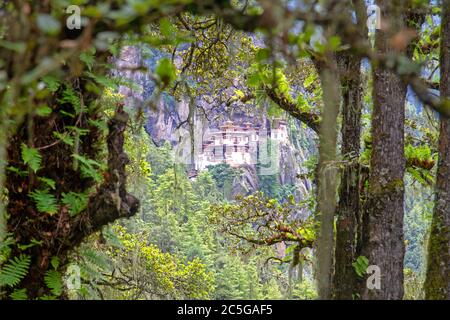 Paro Takstang (Kloster Des Tigernests) Stockfoto