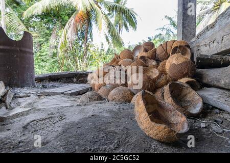 Nahaufnahme Kokosnuss Schale für Natur Kraftstoff für das Kochen zurück von zu Hause. Stockfoto