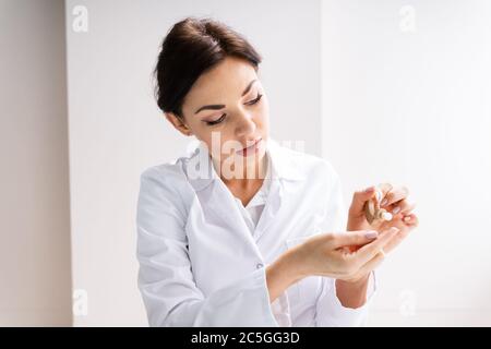 Weibliche Doktorin, Die Dem Patienten Hörgeräte Zeigt Stockfoto