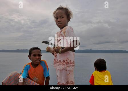 Gruppenporträt von Kindern auf einem Steg auf der Arborek Island, einer kleinen Insel im Meeresschutzgebiet der Dampier Strait – einem der lokalen Meeresschutzgebiete, die Ende 2006 durch lokale Initiativen gegründet wurden – im Raja Ampat Archipel, Raja Ampat Regentschaft, West Papua Provinz, Indonesien. Archivfoto (2007). Stockfoto